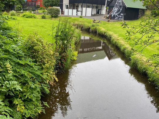 Viðarlundin Park-托沙文必去景点