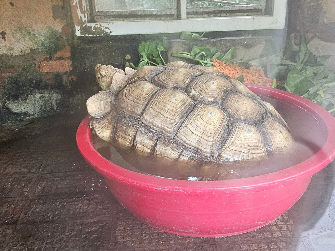 合肥野生动物园-合肥市必去景点