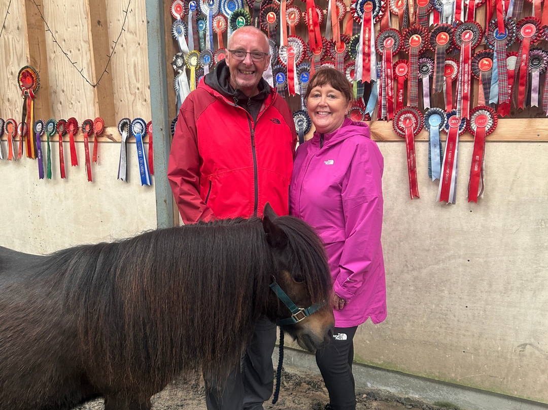 The Shetland Pony Experience-Papil必去景点