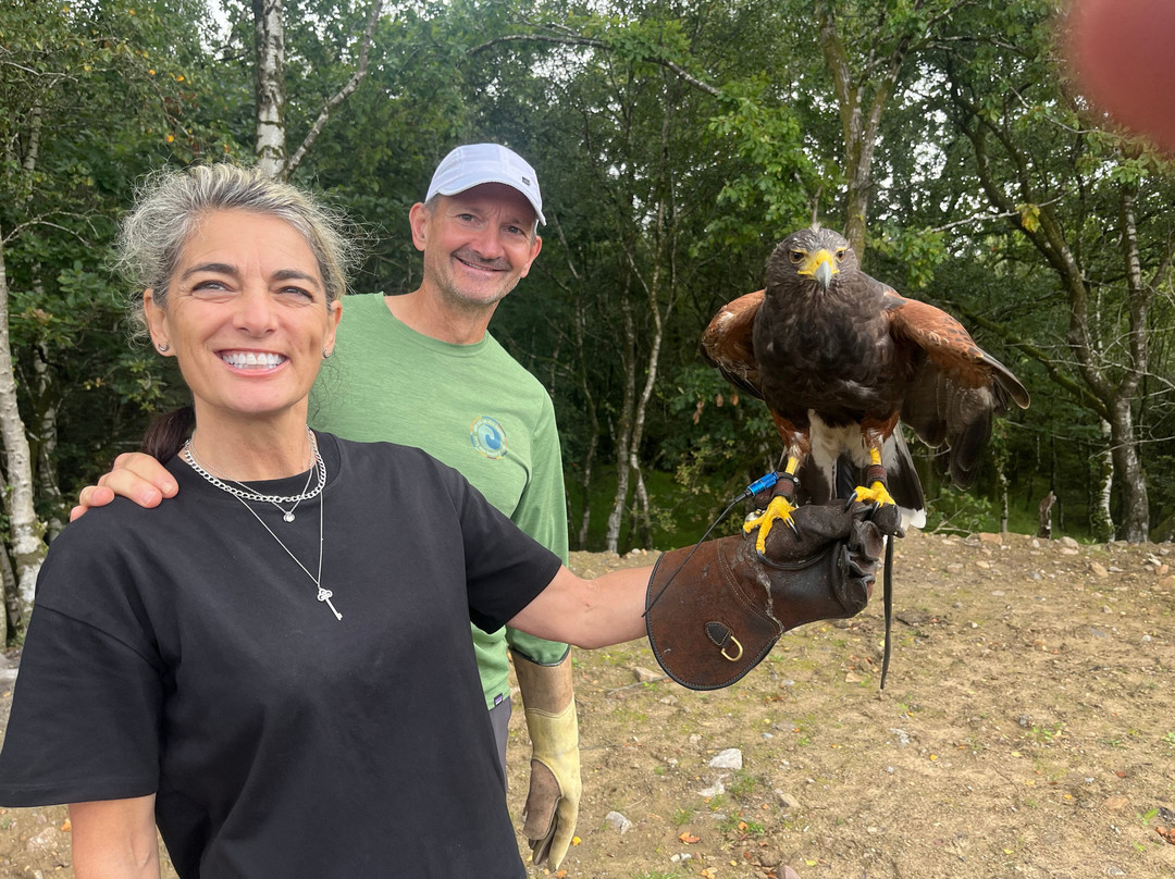Wings Of Wales-布雷肯比肯斯国家公园必去景点