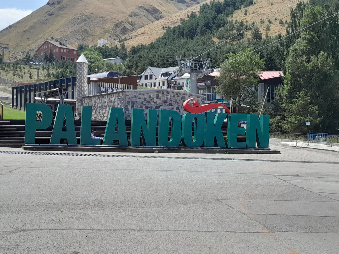 Polat Palandöken主图