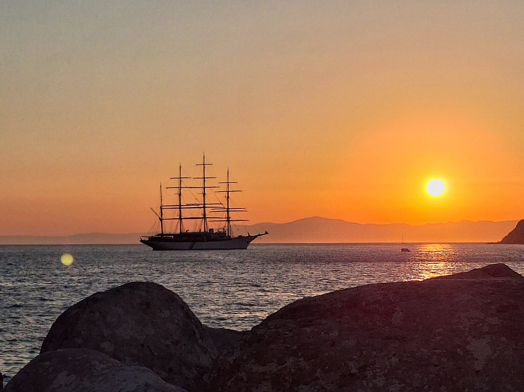 Artemis Pension主图