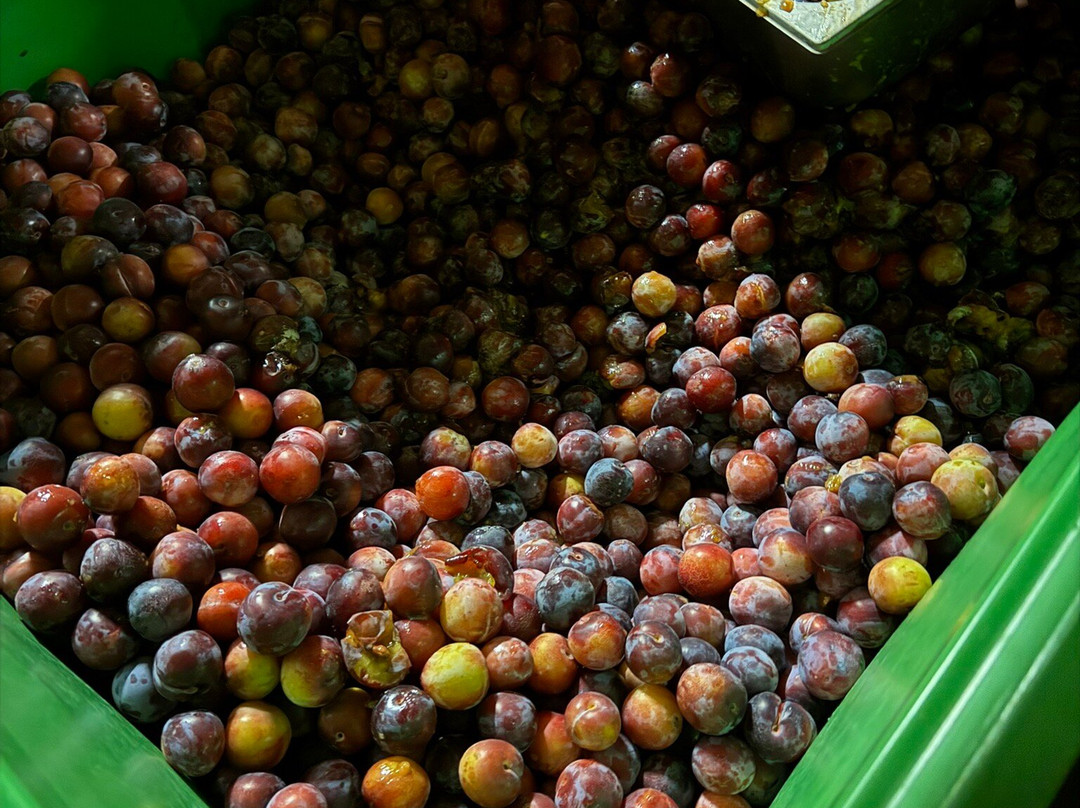 3 Fonteinen-Beersel必去景点