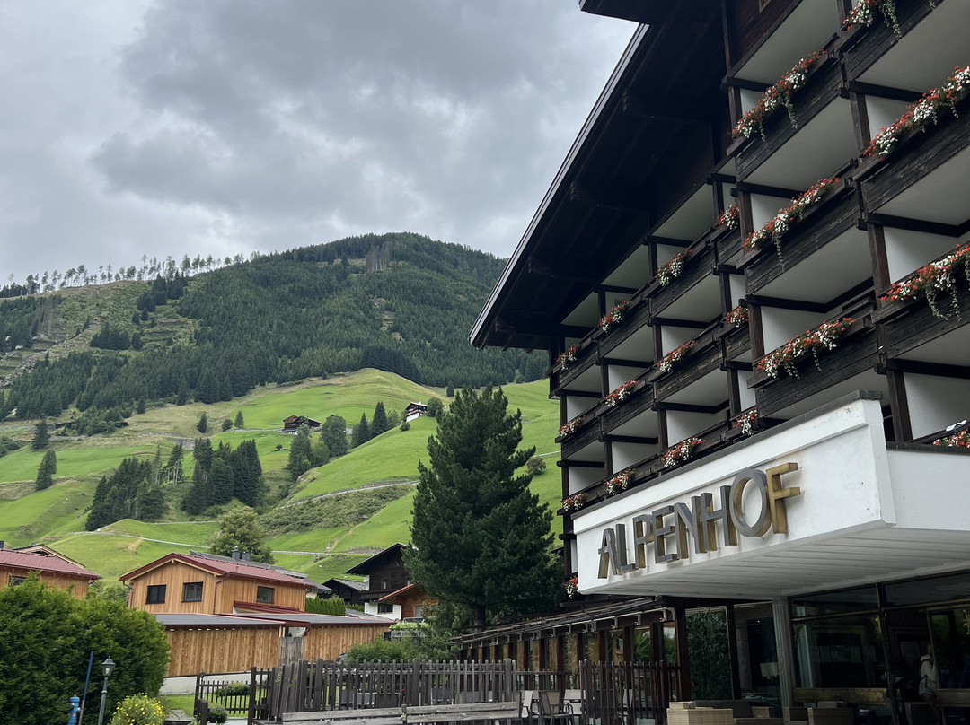 Hotel Alpenhof主图