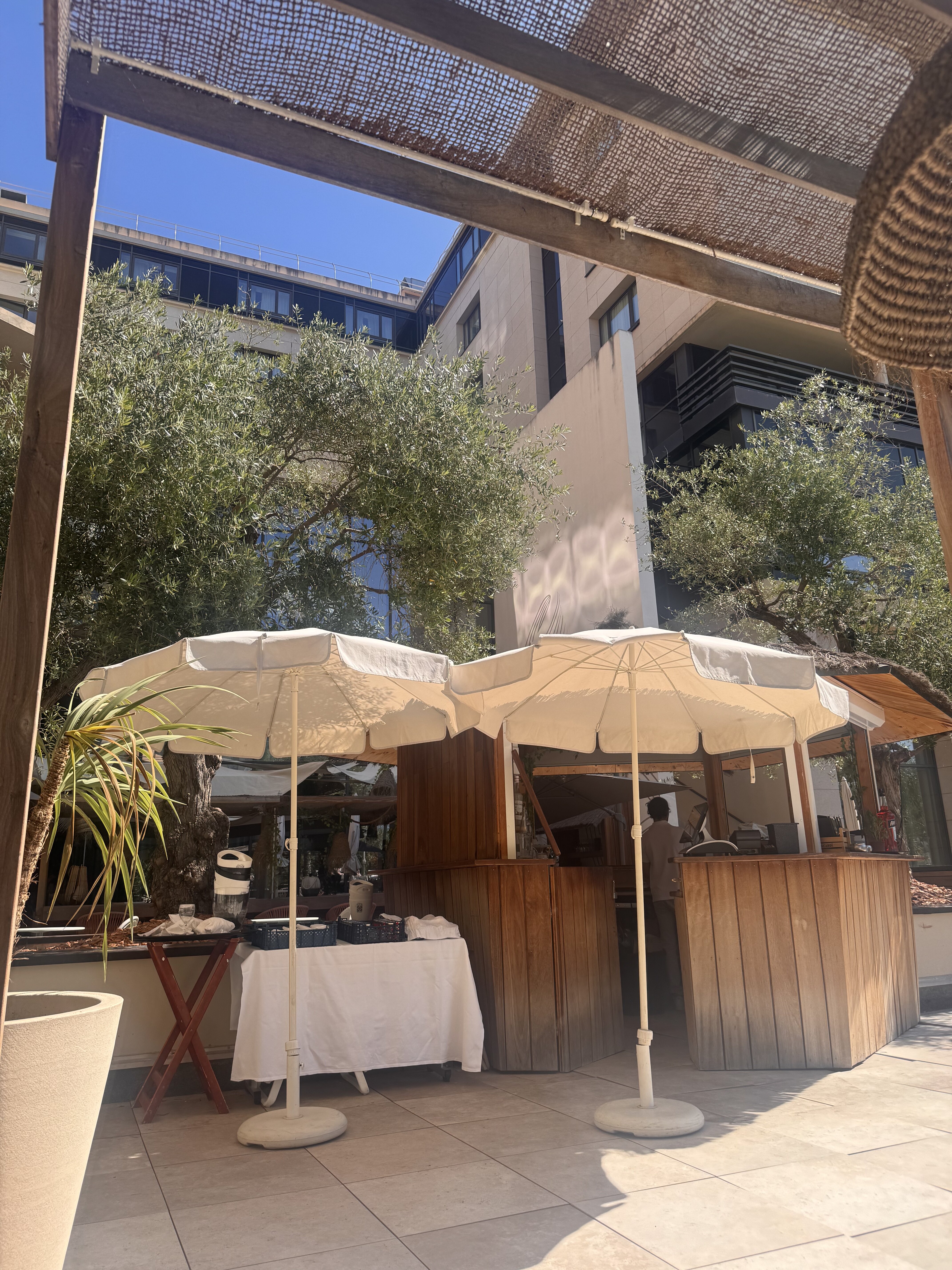 艾克斯普罗旺斯文艺复兴酒店-泳池