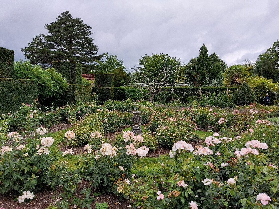 Borde Hill Garden-Haywards Heath必去景点