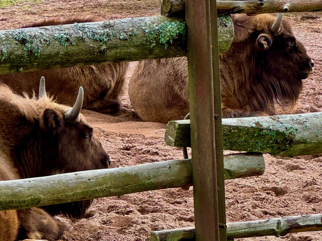 Avesta Visentpark-Avesta必去景点