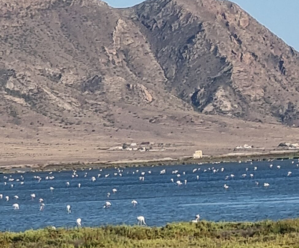 Las Salinas-加塔角必去景点