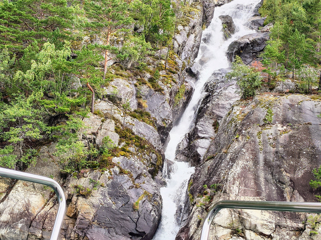 Hardanger Fjordsafari-Eidfjord必去景点