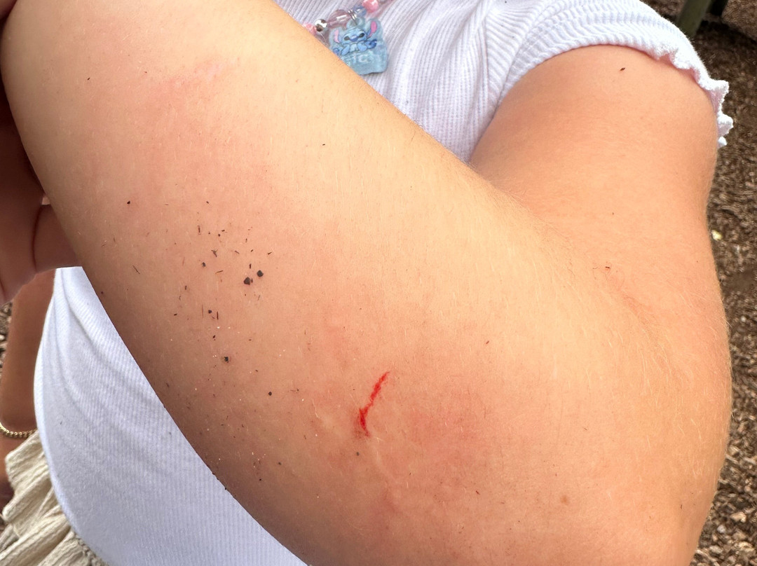 Paradise Park-Newhaven必去景点