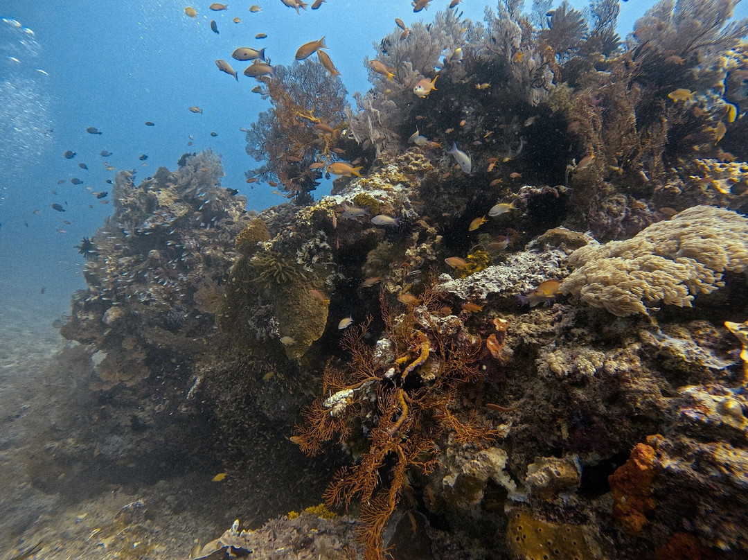 Meno Dive Club-Gili Meno必去景点