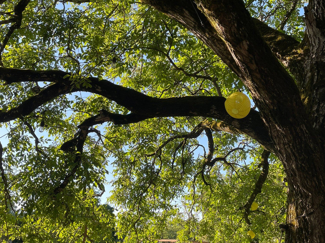 Maison Les Filles Tresy主图