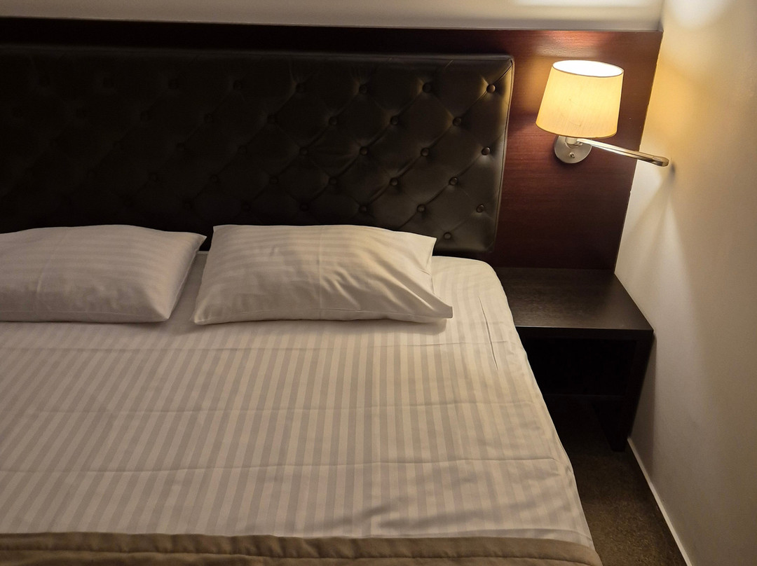 Amberton Cozy Hotel Kaunas主图