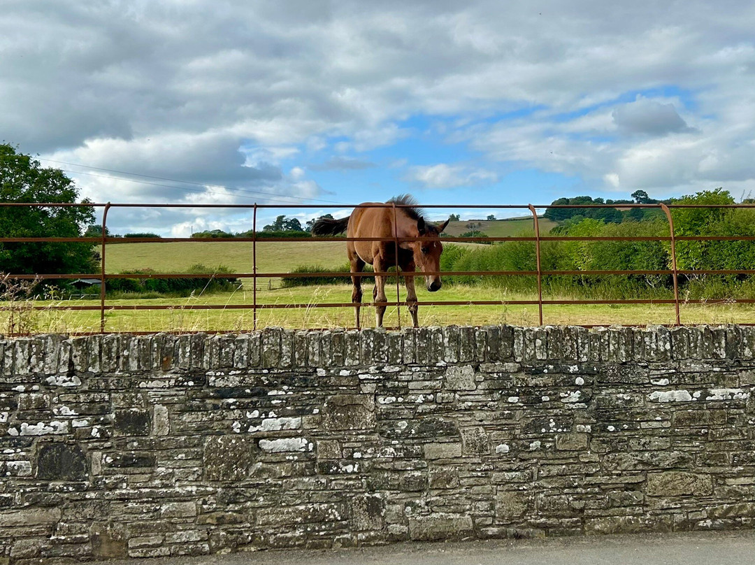 Offa's Dyke Lodge B&B主图