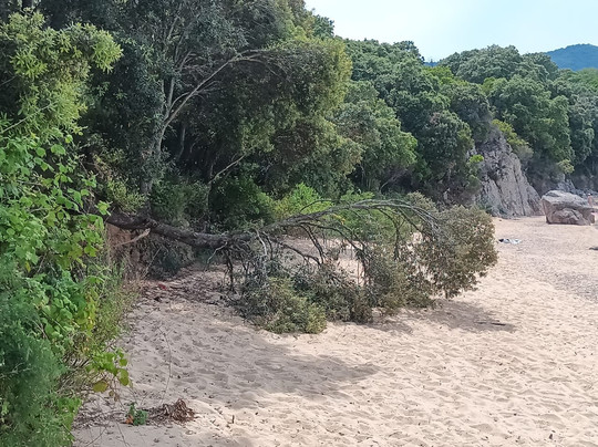 Zougla Beach-Olympiada必去景点