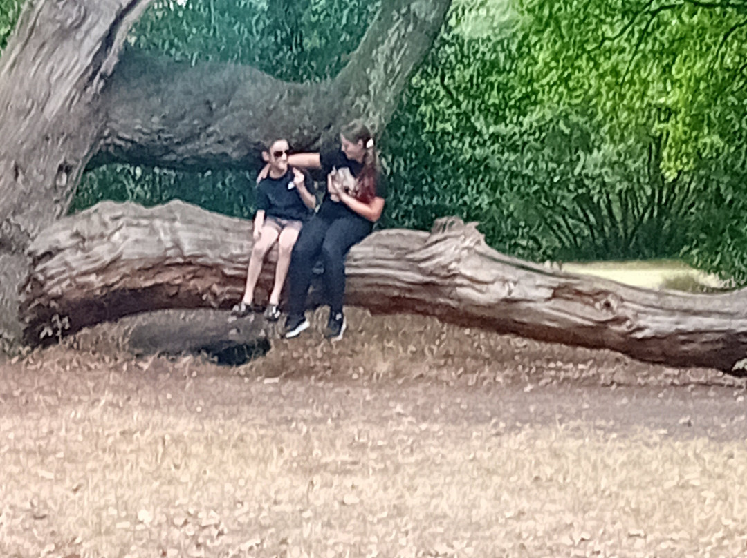 Southampton Common-南安普敦必去景点