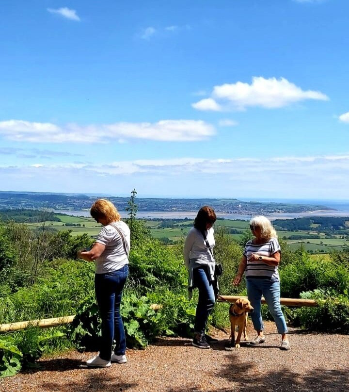 Mamhead-道利什必去景点