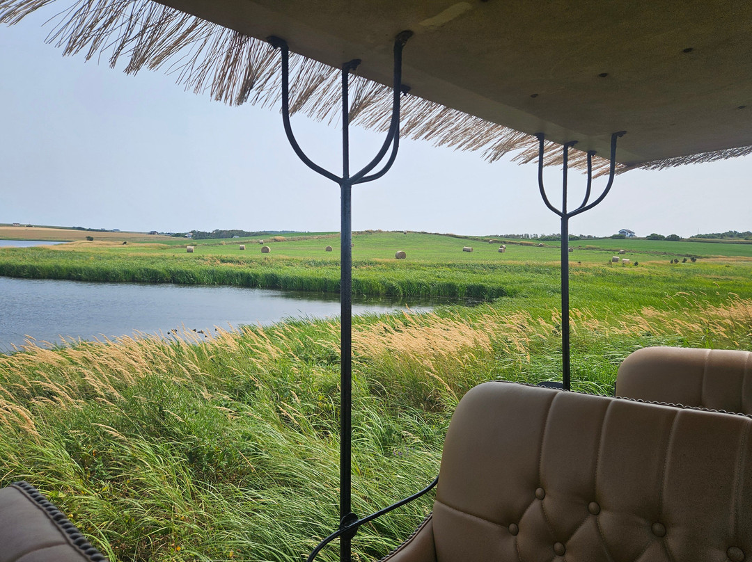 Matthew's Carriage Rides-Kensington必去景点