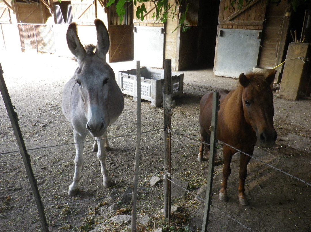 Milhaud酒店住宿-Le Clos Des Aramons