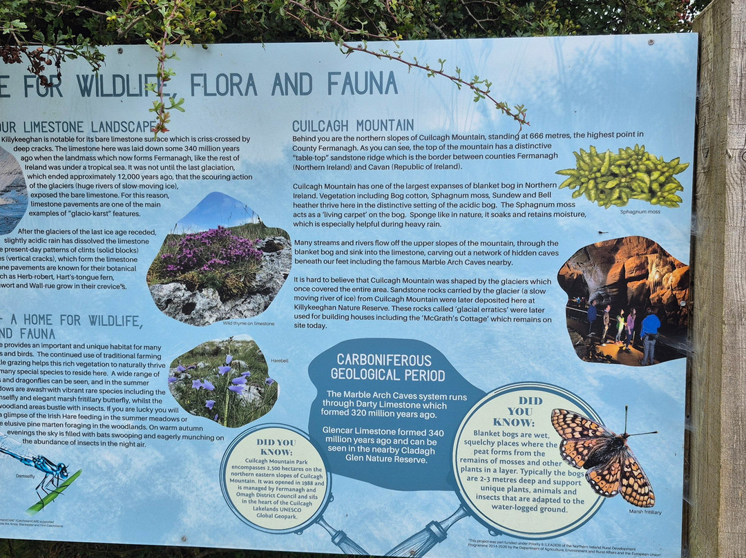 Killykeeghan Nature Reserve-Florencecourt必去景点