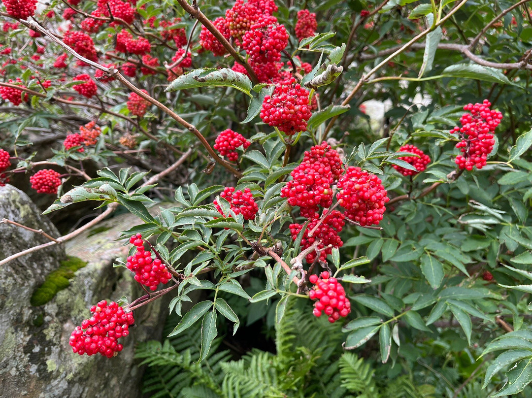 Sorgenti Del Secchia-雷焦艾米利亚必去景点