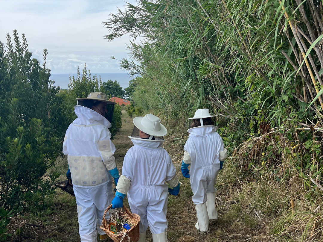 Apiário Margaridas-Fenais da Luz必去景点