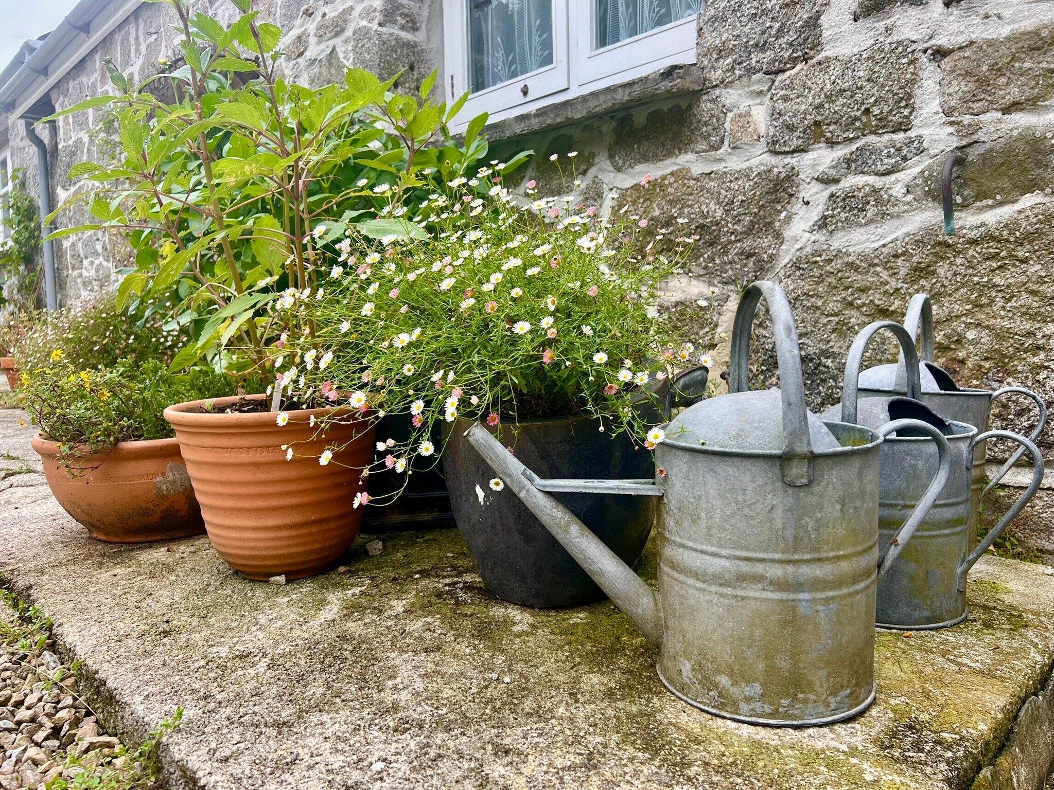 Little Pengelly Farm B&B-官方