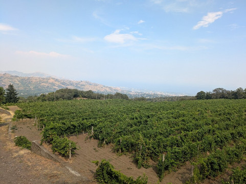 Sicily Excursions-陶尔米纳必去景点