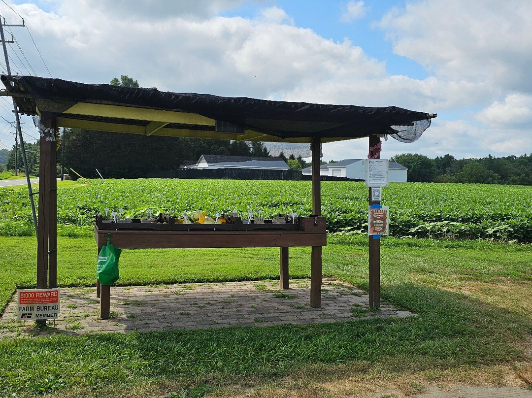 Boxwood Farms-Bel Air必去景点