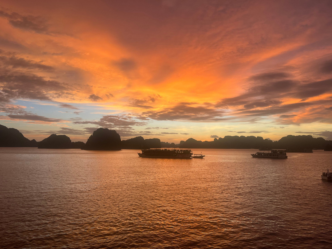 Orchid Trendy Cruises-Bai Chay必去景点