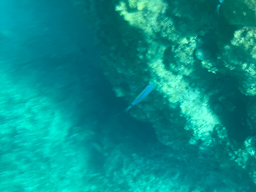 Ionion Gateway Cruise-塞沃塔必去景点