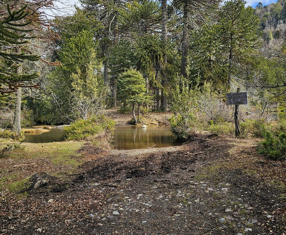 Cinco Lagunas-Villa Pehuenia必去景点