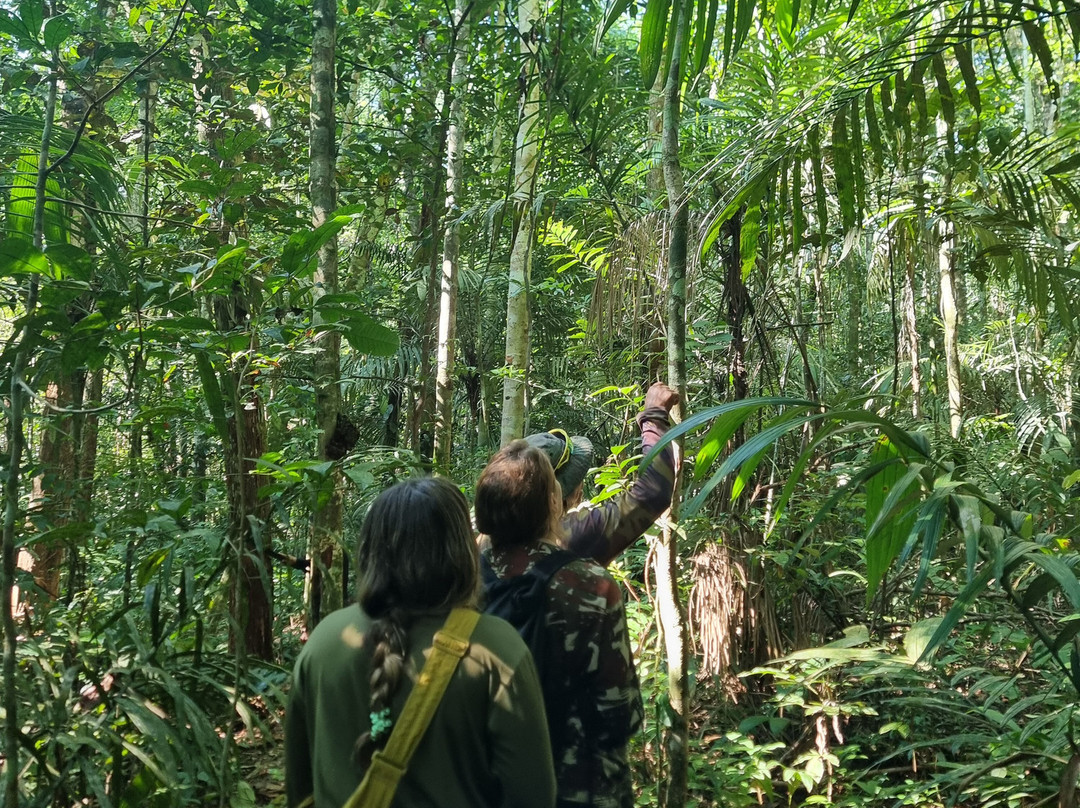 Amazon Rambo Jungle Tours-玛瑙斯必去景点