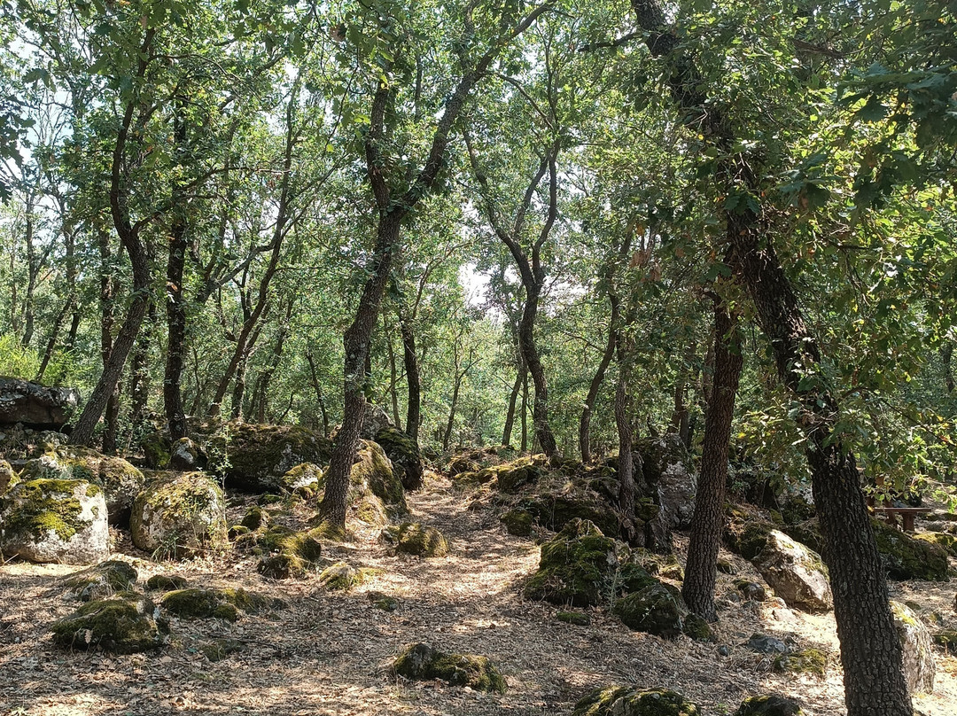 Parco Suburbano e Area Attrezzata Sciarone-Randazzo必去景点
