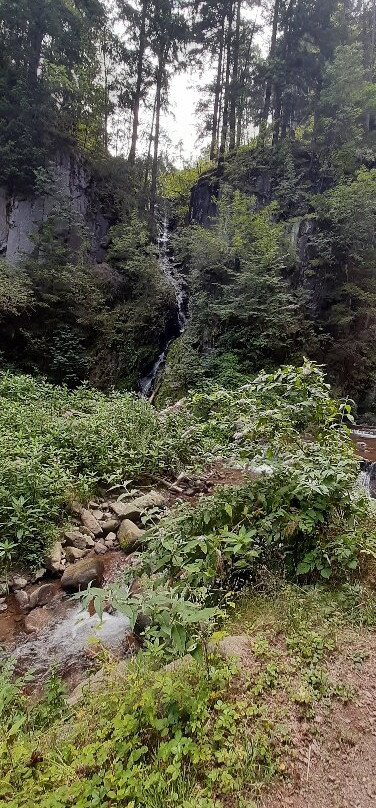 Cascata del Lupo-Bedollo必去景点