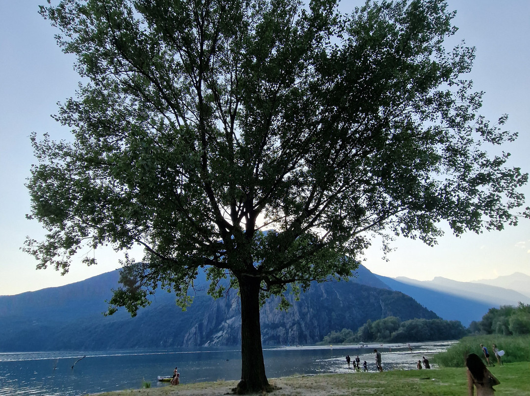 Lido Beach Novate Mezzola-Novate Mezzola必去景点