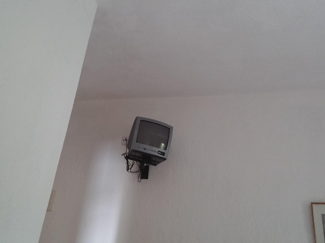 Pansion Prodromina主图