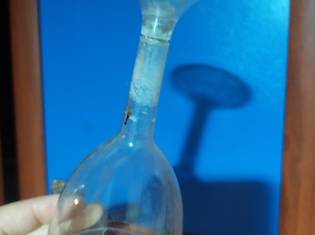 Deni̇zkizi Derya Pansi̇yon主图