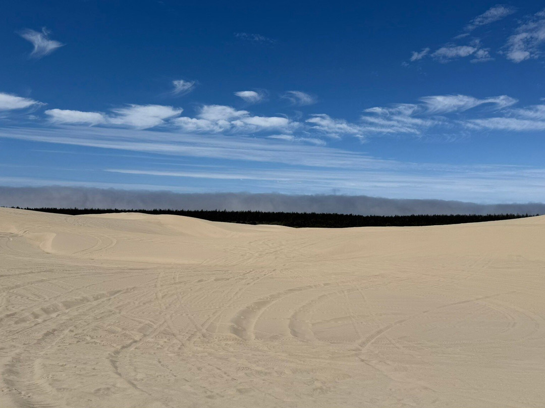 Ocean Breeze ATV Rentals-弗洛伦斯必去景点