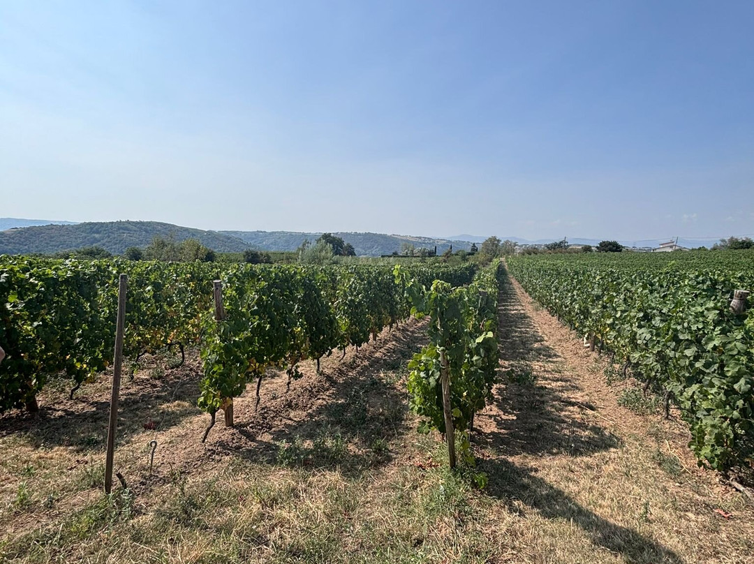 Domaine François Grenier-Champagne必去景点
