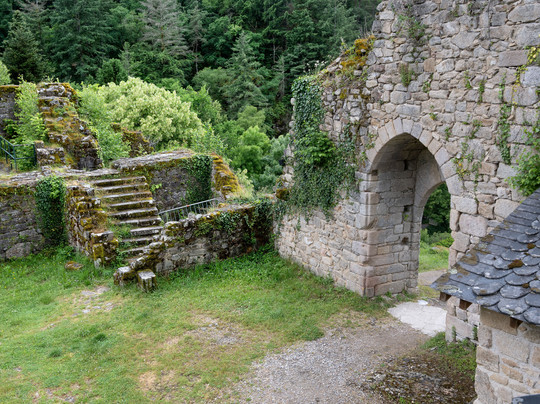 Ruines Château De La Roche Haute
