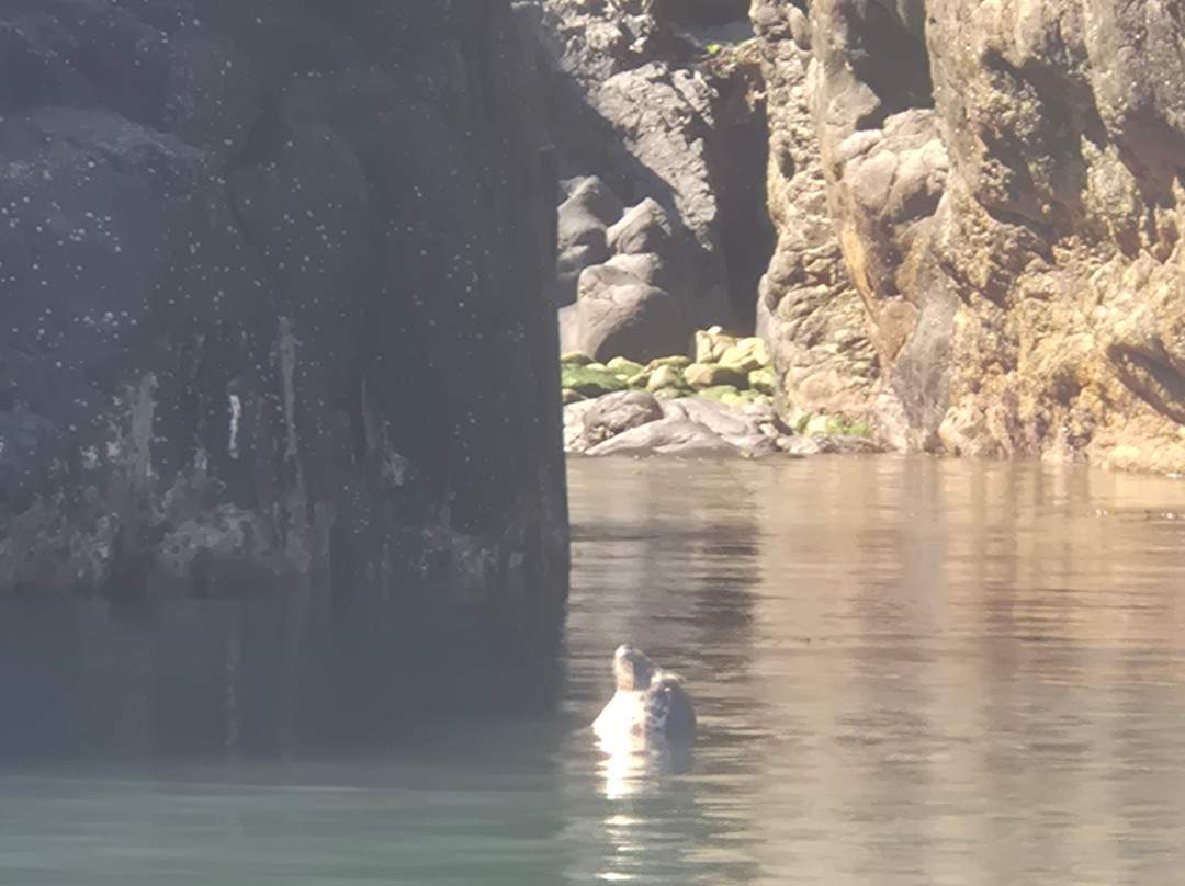 Voyages of Discovery (Ramsey Island)-St. Davids必去景点