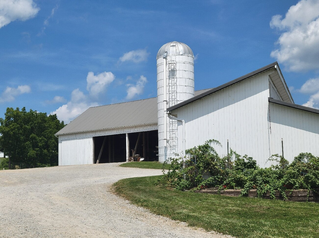 The Farm at Walnut Creek-Sugarcreek必去景点
