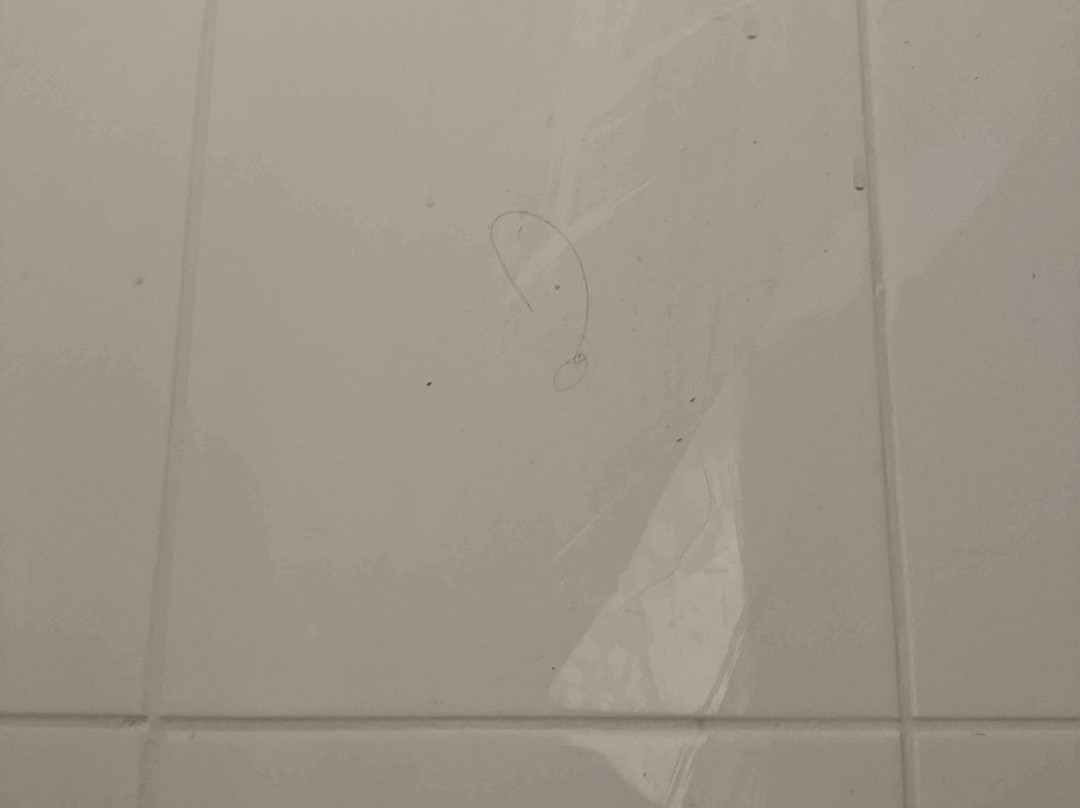 Clifton Hotel Newcastle主图