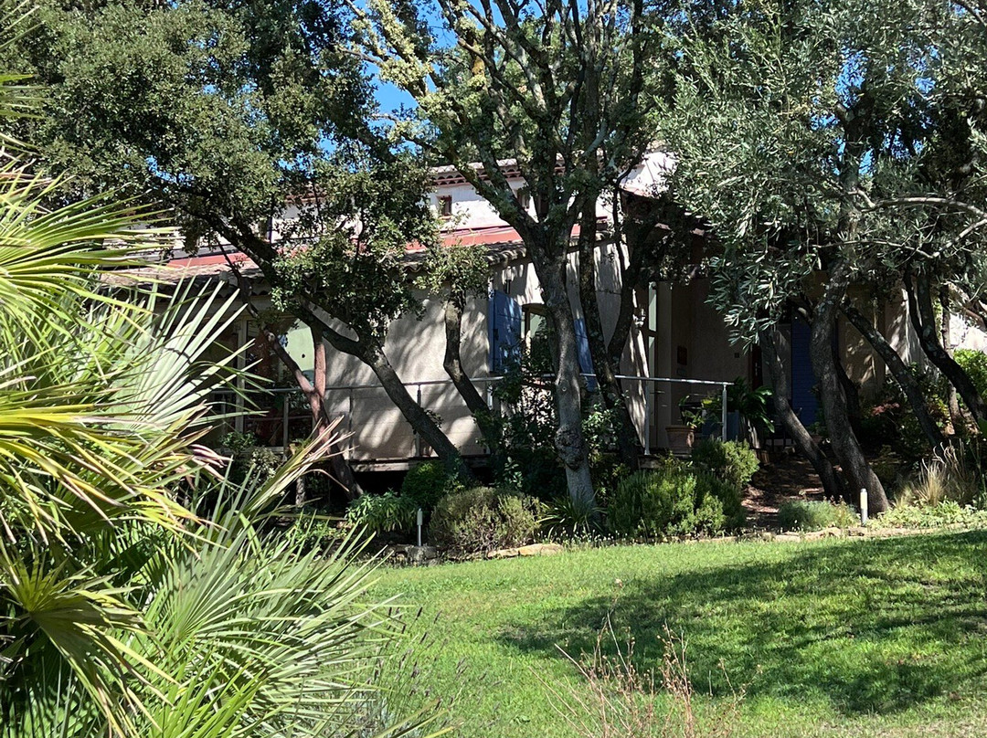 Les Santolines En Provence主图