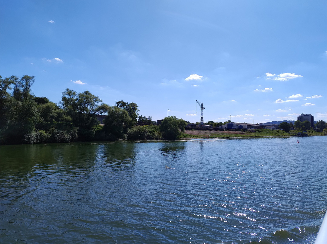 Personen-Schifffahrt Gebr. Kolb-Briedern必去景点