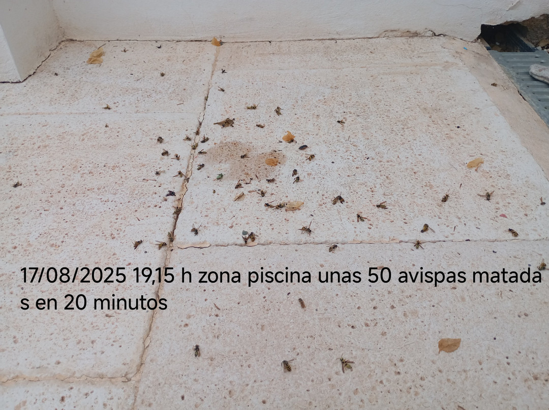 Sorbas酒店住宿-Almond Reef