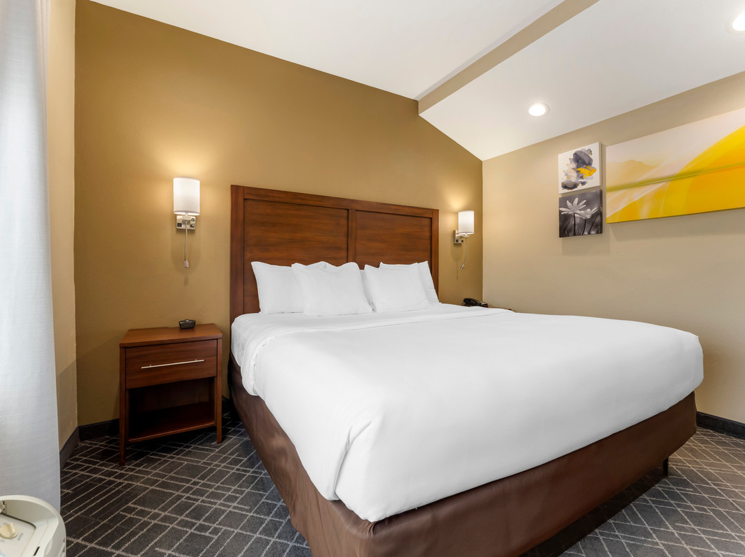 Comfort Suites主图