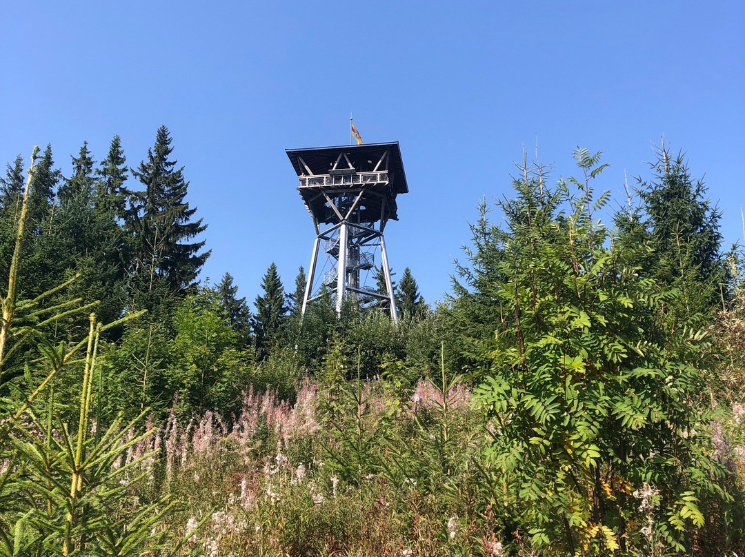 Riesenbühlturm in Schluchsee-施卢赫湖必去景点
