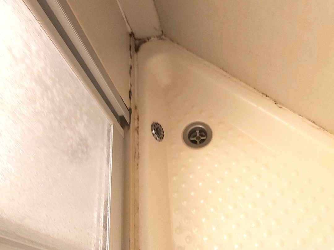 Haus Berkelmann主图